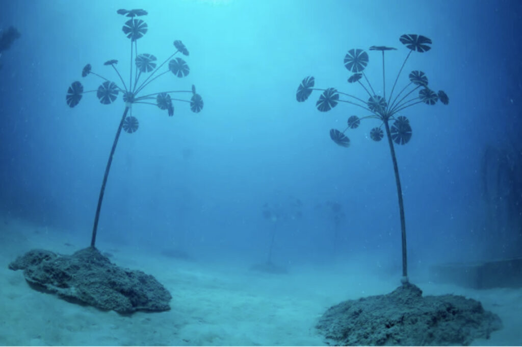 museum of underwater art (MOUA)