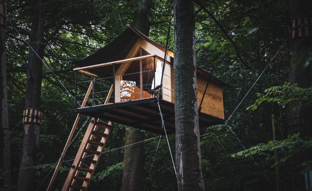 比利时森林中的漂浮树屋-boomkamp 的豪华野营体验